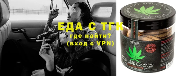Альфа ПВП Горняк