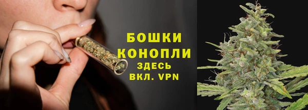 дурь Горно-Алтайск