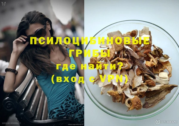 дурь Горно-Алтайск