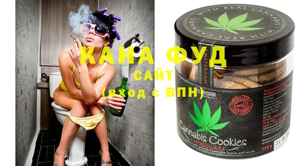 Альфа ПВП Горняк