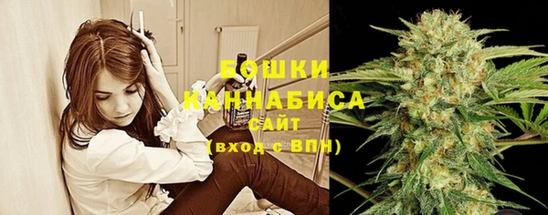 ГАЛЛЮЦИНОГЕННЫЕ ГРИБЫ Горнозаводск