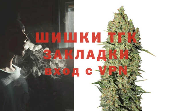 Альфа ПВП Горняк