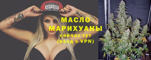 Альфа ПВП Горняк