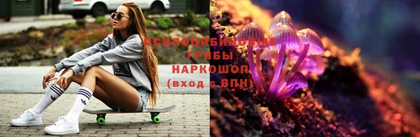 ГАЛЛЮЦИНОГЕННЫЕ ГРИБЫ Горнозаводск